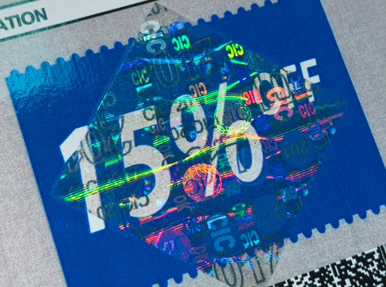 Rectangle 85